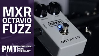 MXR M267 Octavio Fuzz Pedal Demo  New 2020 Fuzz [upl. by Aleetha]