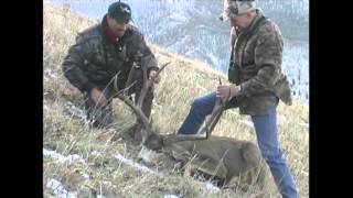 Huge 210quot Typical Mule Deer Rifle Hunt  MossBack [upl. by Idolah846]