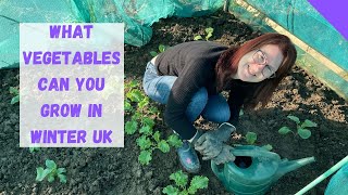 What Vegetables Can You Grow In Winter In UK [upl. by Dyolf593]