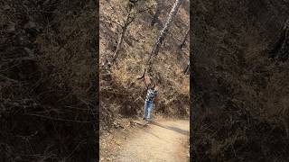 Sunset point kasauli holiday song music holiday fun hills day [upl. by Sonaj]