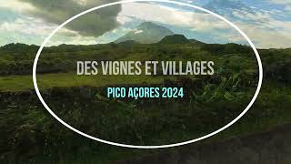 Des vignes et villages Pico Açores 2024 [upl. by Olegnaed489]