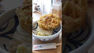 【本格手打ちもり家】高松シンボルタワー店 かき揚げおろし さぬきうどん takamatsu [upl. by Zeba29]