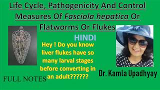 Fasciola hepatica Fasciola hepatica life cycle Flat worm Liver Fluke Fluke Liver rot [upl. by Anneh]