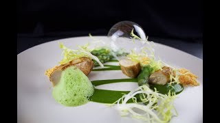 Plating Food 51  Rabbit Parsley Lovage Chorizo Asparagus [upl. by Ordnael808]