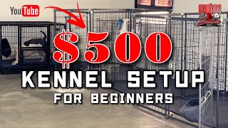 KENNEL SETUP FOR BEGINNERS 🔥🤩 [upl. by Naujal]