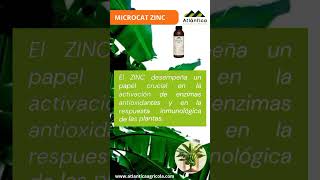 Microcat Zinc el despegue que tu cultivo necesita… Bioevolution AtlanticaAgricola [upl. by Einnel]