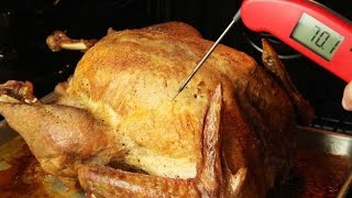 How to Take the Temperature of Your Turkey [upl. by Rugg]