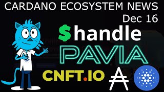 Pavia Full Map  AdaHandle  CNFTIO Smart Contracts  Ada Airplane [upl. by Elawalo]