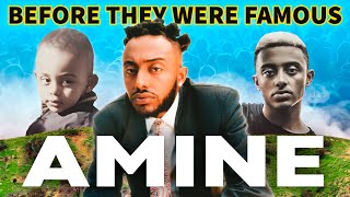 Aminé  Before They Were Famous  UPDATED  Biography [upl. by Tzong]