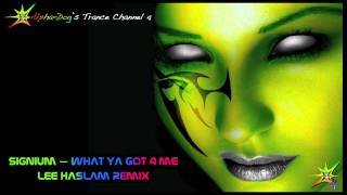 Signum  What Ya Got 4 Me Lee Halsam Remix ★ [upl. by Davina]