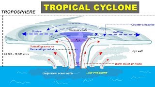 Bihar Floods  Why it happens every year  Explained with Map [upl. by Zetnwahs]