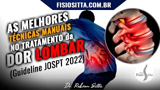 DOR LOMBAR AGUDA e CRÔNICA A PRÁTICA BASEADA EM EVIDÊNCIAS CIENTÍFICAS Fisioterapia Dr Robson Sitta [upl. by Mateya]