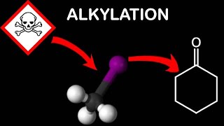 Alkylation of Cyclohexanone [upl. by Adiana]