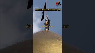 Wiladat Bibi Zainab Sw Mubarak  Wiladat Bibi Zainab Status bibizainab molaali [upl. by Ferreby]