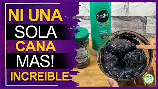 Poderoso Tinte natural con solo 2 ingredientes mezclados con el acondicionador Negro precioso [upl. by Issy]