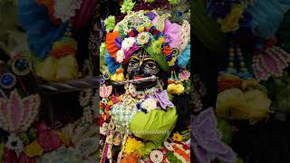 Sri Sri Radha Madhav Patotsav Day 4 Special Darshan  Hare Krishna Mandir [upl. by Gnes]