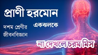 প্রাণী হরমোন  Wbbse Class 10 Life Science Chapter 1  Animal Hormone  Hypothalamus Pituitary [upl. by Namsu885]