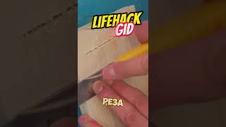 Универсальные советы для дома Больше интересного в телеграм lifehacks diy tools tips shorts [upl. by Salomo487]