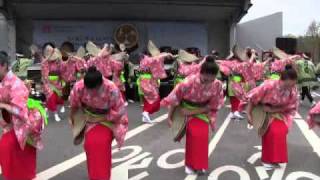 Tamagawa University Dance Group in DC [upl. by Yedoc]