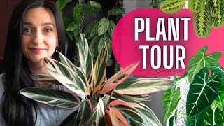 Plant Tour roślinnego pokoju🪴Roślinny VLOG 🌱 Gosia i Miłosz Vlog [upl. by Akinat]