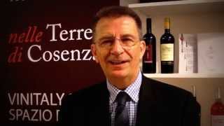 Accademia del Magliocco presentazione al Vinitaly [upl. by Doreg910]