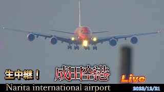 👸🐢🛬1221 成田空港 B747 Narita International Airport Live 】成田空港 生中継📸✈️💨】【Gibson Narita】 [upl. by Ellatsyrc]