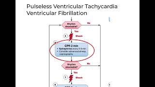 Cardiac arrest part 1 shockable  ACLS 2020 [upl. by Behnken]