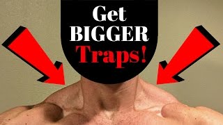 How To Get Bigger Traps One Exercise  V SHRED [upl. by Anyahs399]