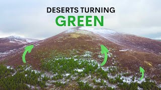 Scotlands Deserts are Turning Green  heres why [upl. by Zirkle]