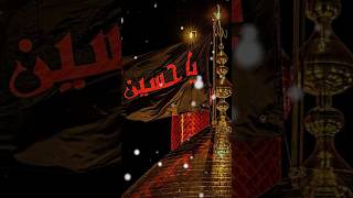 Karbala Ko Karbala ke Shahenshah Par naaz hae moharram karbalastatus imamhussain youtubeshorts [upl. by Ralfston]