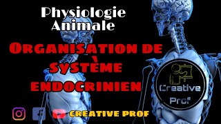 physiologie animale  Endocrinologie  Organisation de Système Endocrinien [upl. by Iat]