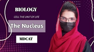 The nucleus  nucleus Structure and Function  cell nucleus nucleus [upl. by Vitale]