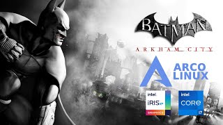 Batman Arkham City  Linux  Core i7 1165g7  Intel Iris Xe Graphics  Bencmark [upl. by Debi308]