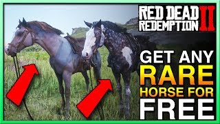 HOW TO GET ANY RDR2 Horse in Red Dead Redemption 2  Red Dead 2 Horses  Red Dead 2 Best Horse [upl. by Auqenet]