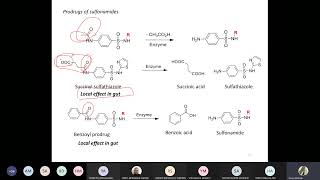 Medicinal 3 Sulfonamides and Quinolones Part 2 [upl. by Earej]