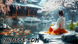 Chinese Song Remix 2024  Best Chinese EDM Hits 2024 [upl. by Ailegnave297]