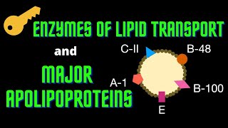 USMLE Step 1  Lesson 74  Key enzymes in Lipid Transport and Major Apolipoproteins [upl. by Joella]