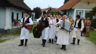 Ljubio se golub s golubicom  Zagorski mužikaši 1970 [upl. by Towroy138]