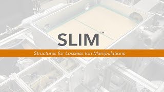 SLIM A big Turn for Ion Separation [upl. by Ibib]