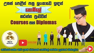 Top government free courses amp Diplomas after AL exam  free courses amp diploma in sri lanka [upl. by Bearnard902]