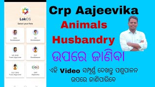 Aajeevika Animals Husbandry survey in odiya  ଆଜୀବିକା ଲକ୍ଷପତି ଦିଦି Digital Aajeevika survey [upl. by Aniarrol]