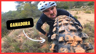 ¿Cuál es Mejor 👉 CONTINENTAL KRYPTOTAL Vs MAXXIS ASSEGAI [upl. by Eniron]