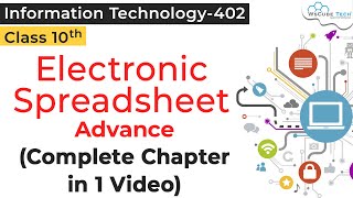 COMPLETE CHAPTER  Electronic Spreadsheet Advanced Class 10 IT [upl. by Einattirb233]