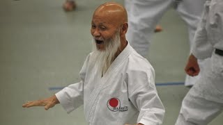 Hideo Ochi sensei explains important points of Hangetsu kata [upl. by Von]