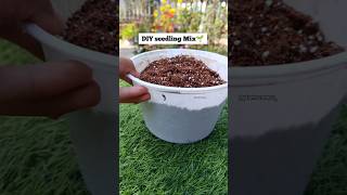 Soil mix for seed germination gardening shorts youtube plantscorner seeds [upl. by Lotus]