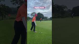 Chipping practice and got lucky golfshorts golfchipping juniorgolfer [upl. by Dareen956]