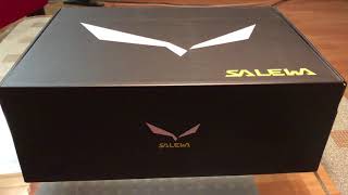 Salewa Firetail 3 GTX  gute Schuhe für die Reise [upl. by Kaycee]