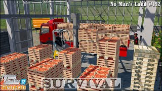 Survival in No Mans Land Ep192🔹Transporting Produce Selling Cakes Bread and Pig Food🔹FS 22 [upl. by Shuler]