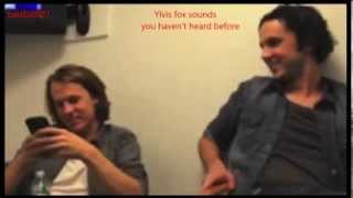 Ylvis Fox sounds you havent heard before [upl. by Rosemaria]