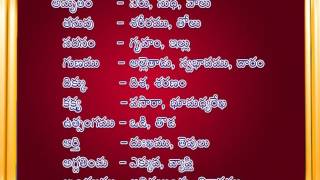 17 నానార్ధలు  Nanardhalu  Telugu Vyakaranam [upl. by Osher]